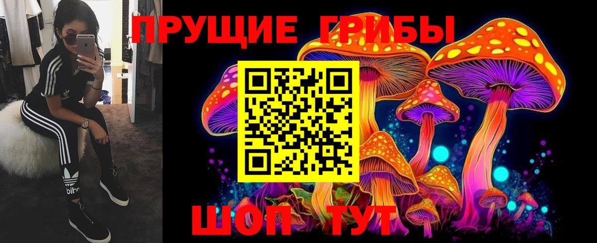 Строитель  Псилоцибиновые грибы GOLDEN TEACHER  Псилоцибиновые грибы MAGIC MUSHROOMS  Вход с VPN 
